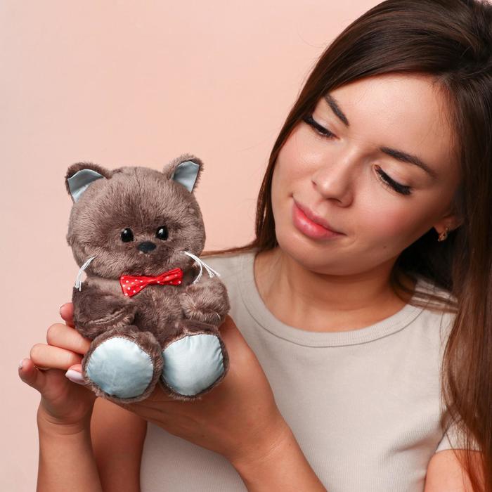 Мягкая игрушка Milo toys Именинник Marti котик, 25 см