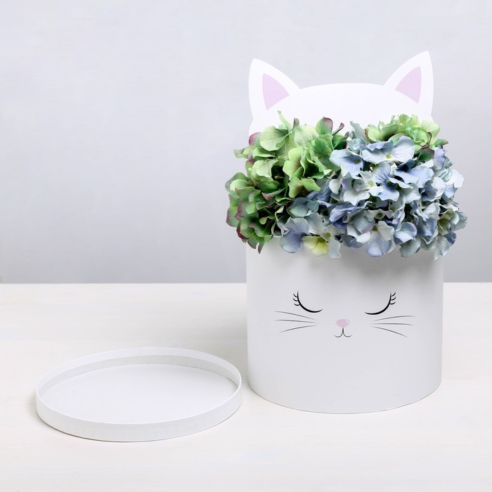

Коробка подарочная Дарите Счастье Белый котик, 22 х 22 см