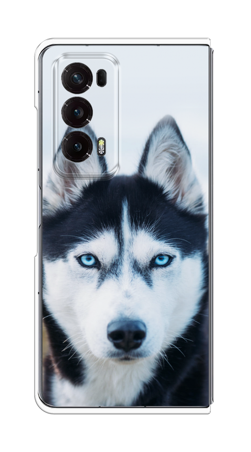 

Чехол на Honor Magic V2 "Хаски 2", Синий;белый, 6123550-1