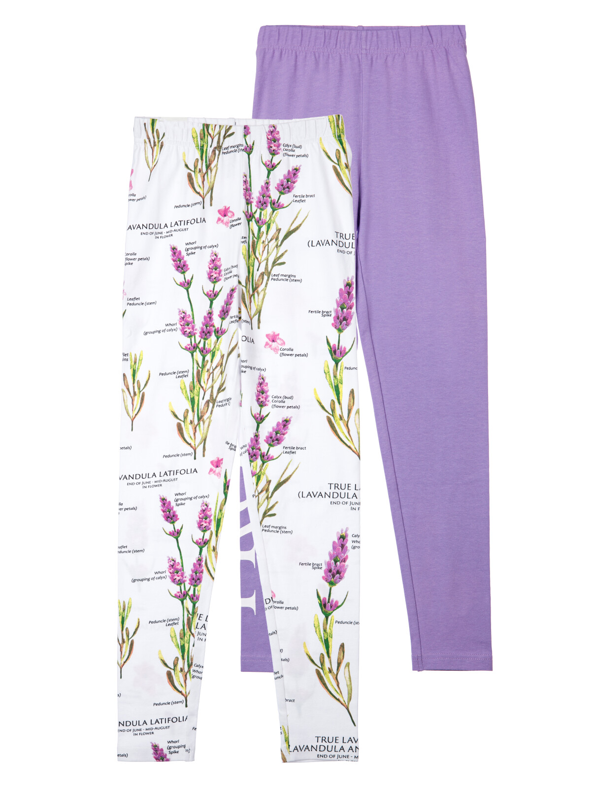 

Леггинсы детские 2 шт PlayToday 12421290, разноцветный, 128, 12421290