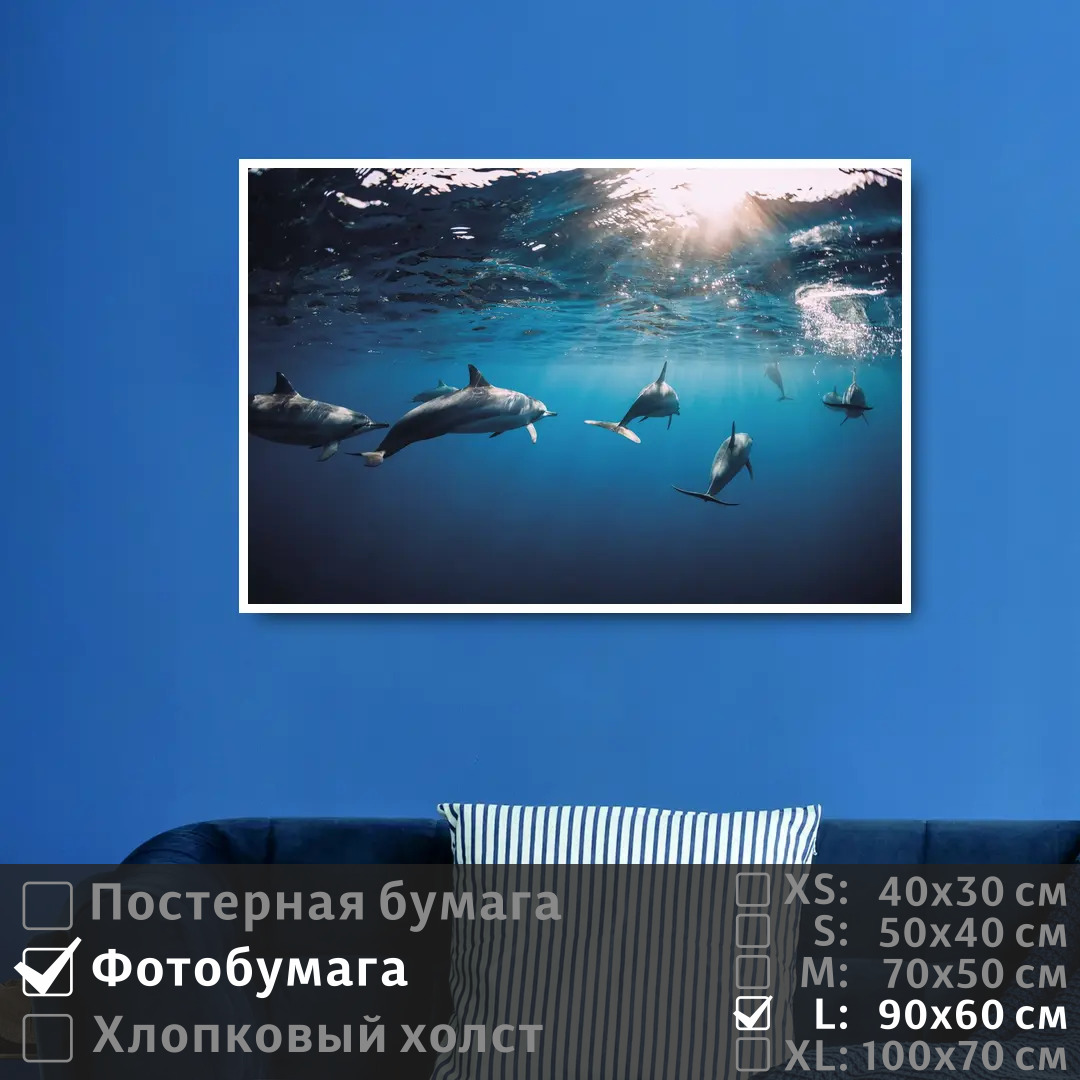 

Постер на фотобумаге ПолиЦентр Дельфины под водой плывут к солнечным лучам 90х60 см, ДельфиныПодВодойПлывутКСолнечнымЛучам