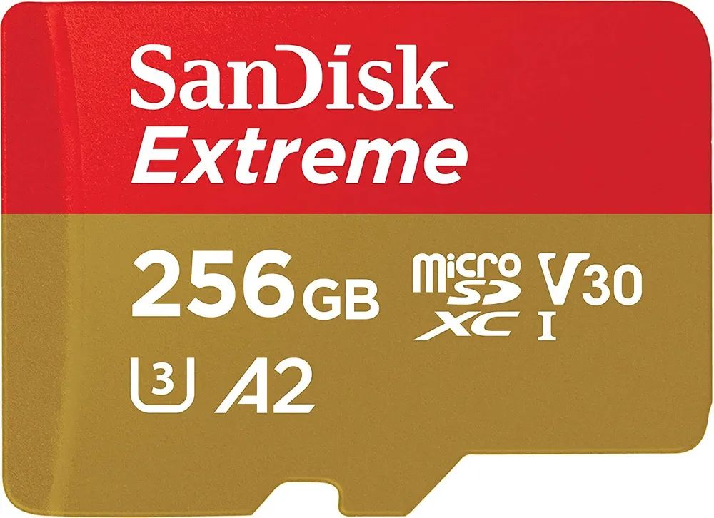 Карта памяти SanDisk Micro SDXC 256Гб SDSQXAV-256G-GN6MN