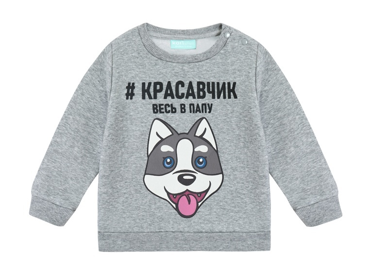 

Свитшот детский Kari Baby AW24B18303508, серый, 74, 234449