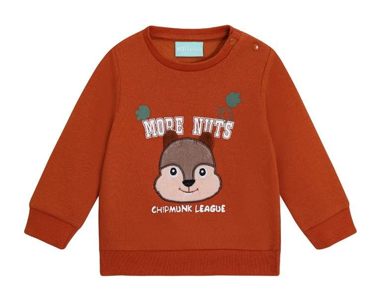 

Свитшот детский Kari Baby AW24B08703206, коричневый, 80, 234552