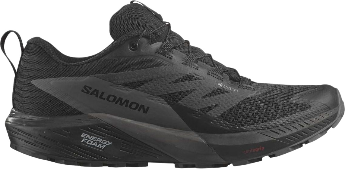 Кроссовки мужские Salomon SENSE RIDE 5 GTX черные 11.5 UK черный