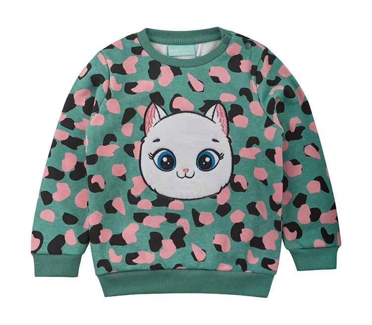 

Свитшот детский Kari Baby AW24B20703504, мятный, 80, Зеленый, 233381