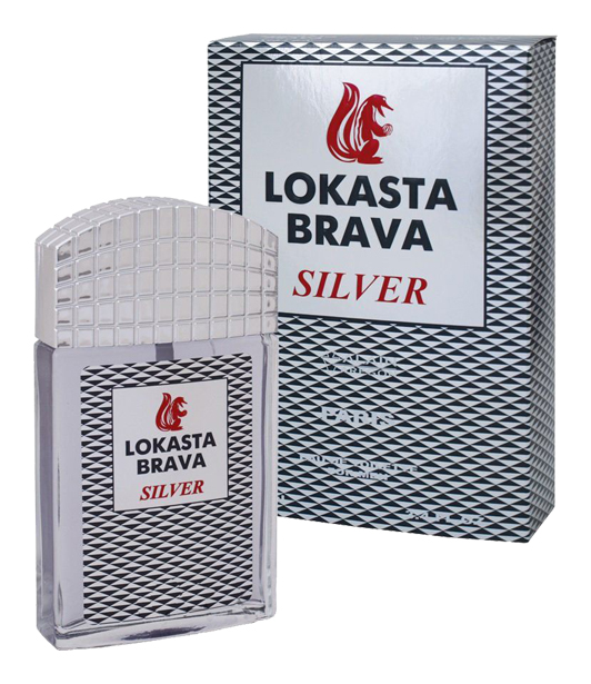 Туалетная вода мужская Positive parfum LOKASTA BRAVA SILVER, 100 мл 7789426