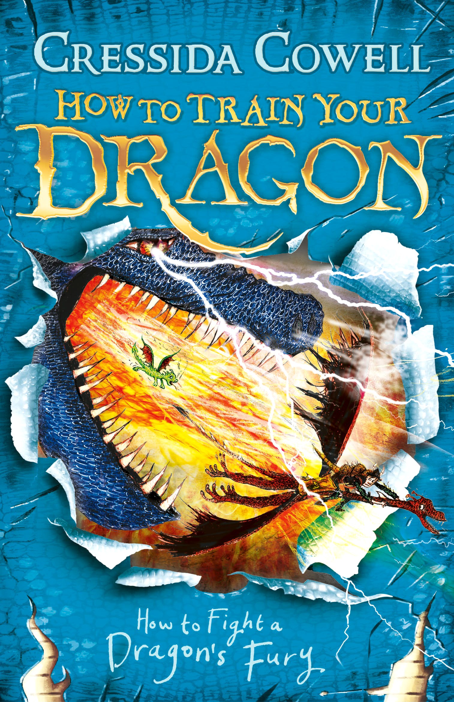 

How to Train Your Dragon How to Fight a Dragon's Fury
