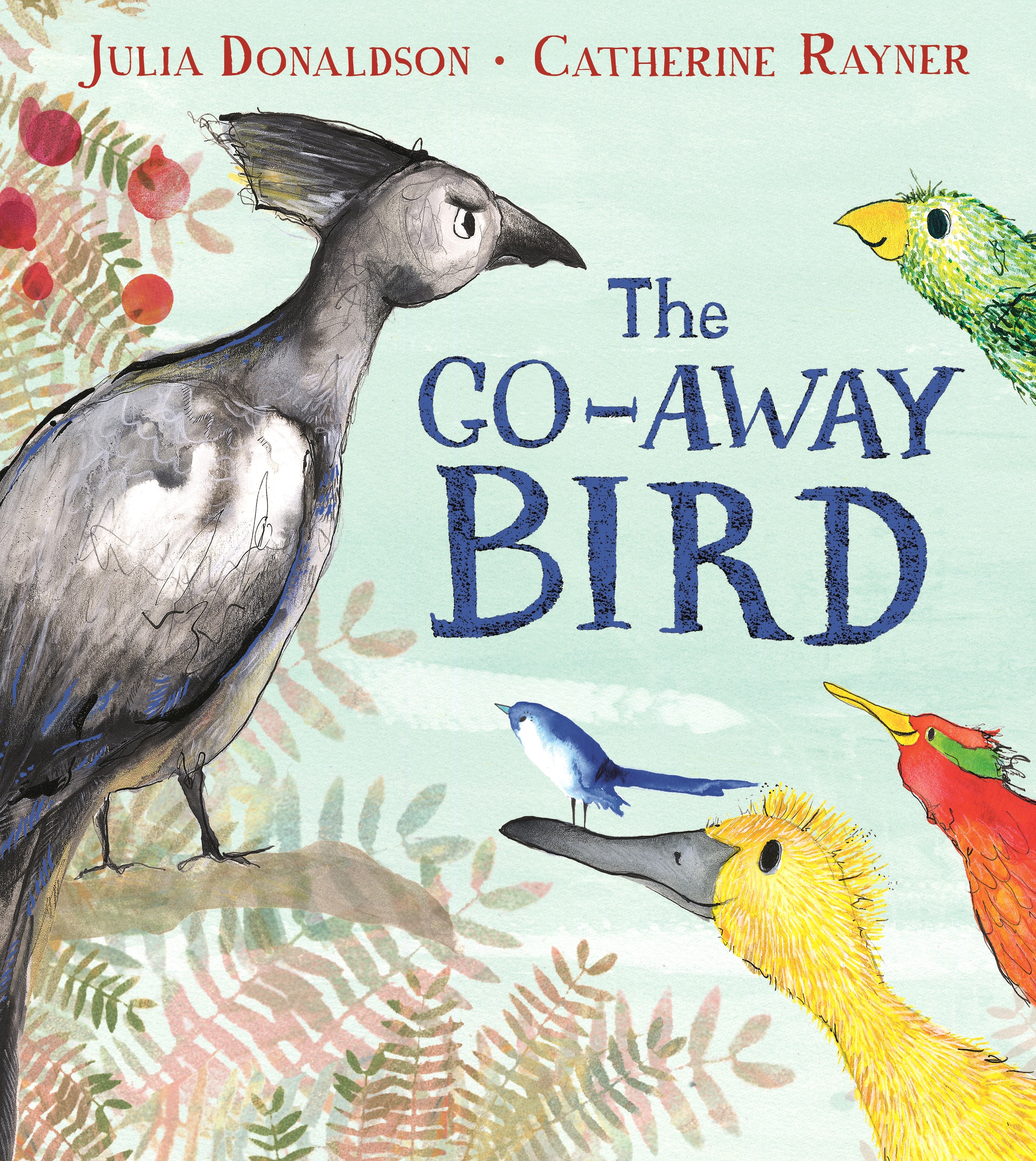 

The Go-Away Bird