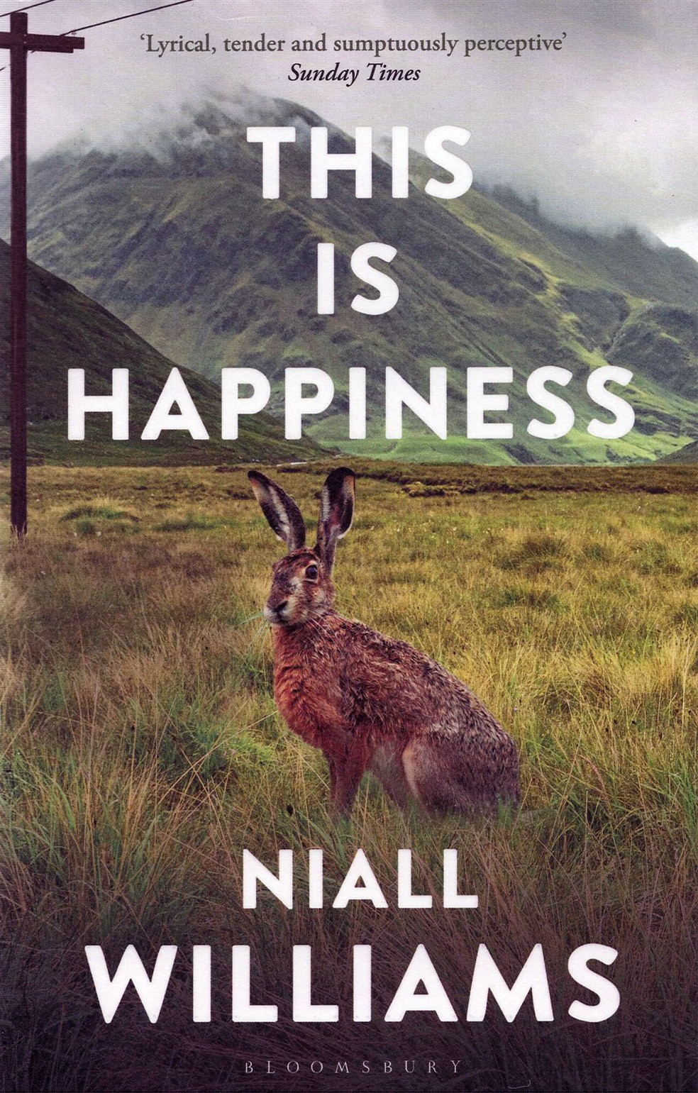 

This Is Happiness