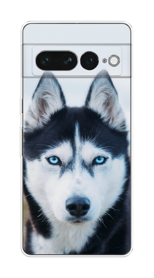 

Чехол на Google Pixel 7 Pro "Хаски 2", Синий;белый, 271350-1