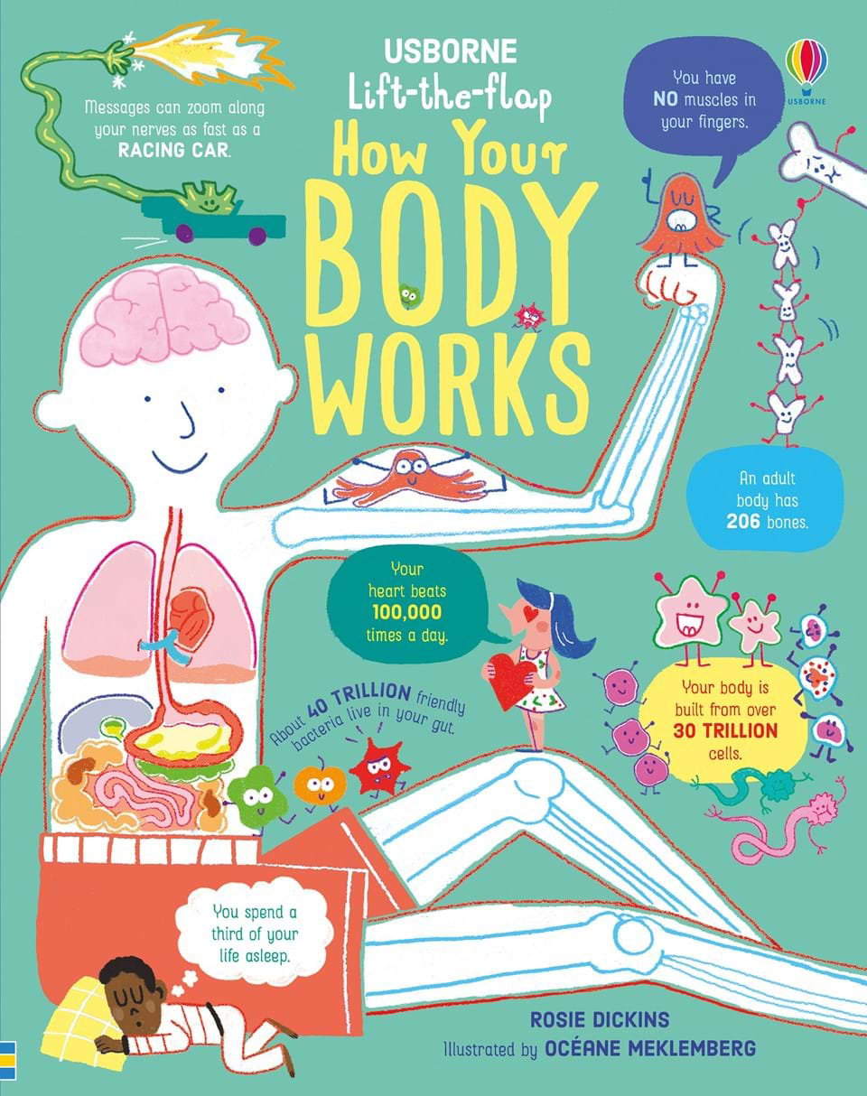 

How Your Body Works