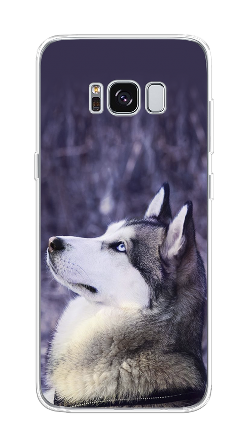 

Чехол на Samsung Galaxy S8 "Хаски 1", Фиолетовый;белый, 24750-1