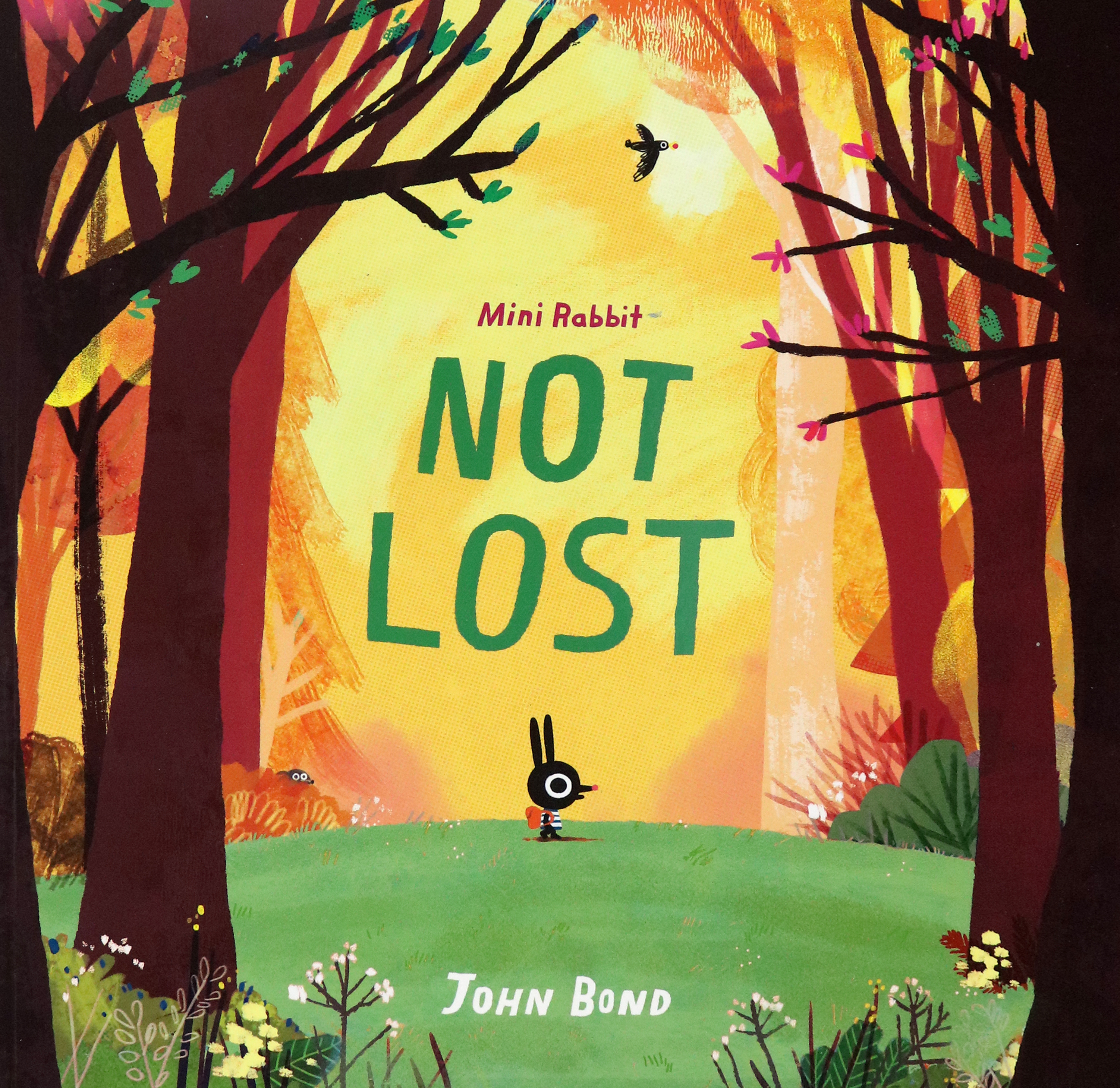 

Mini Rabbit Not Lost