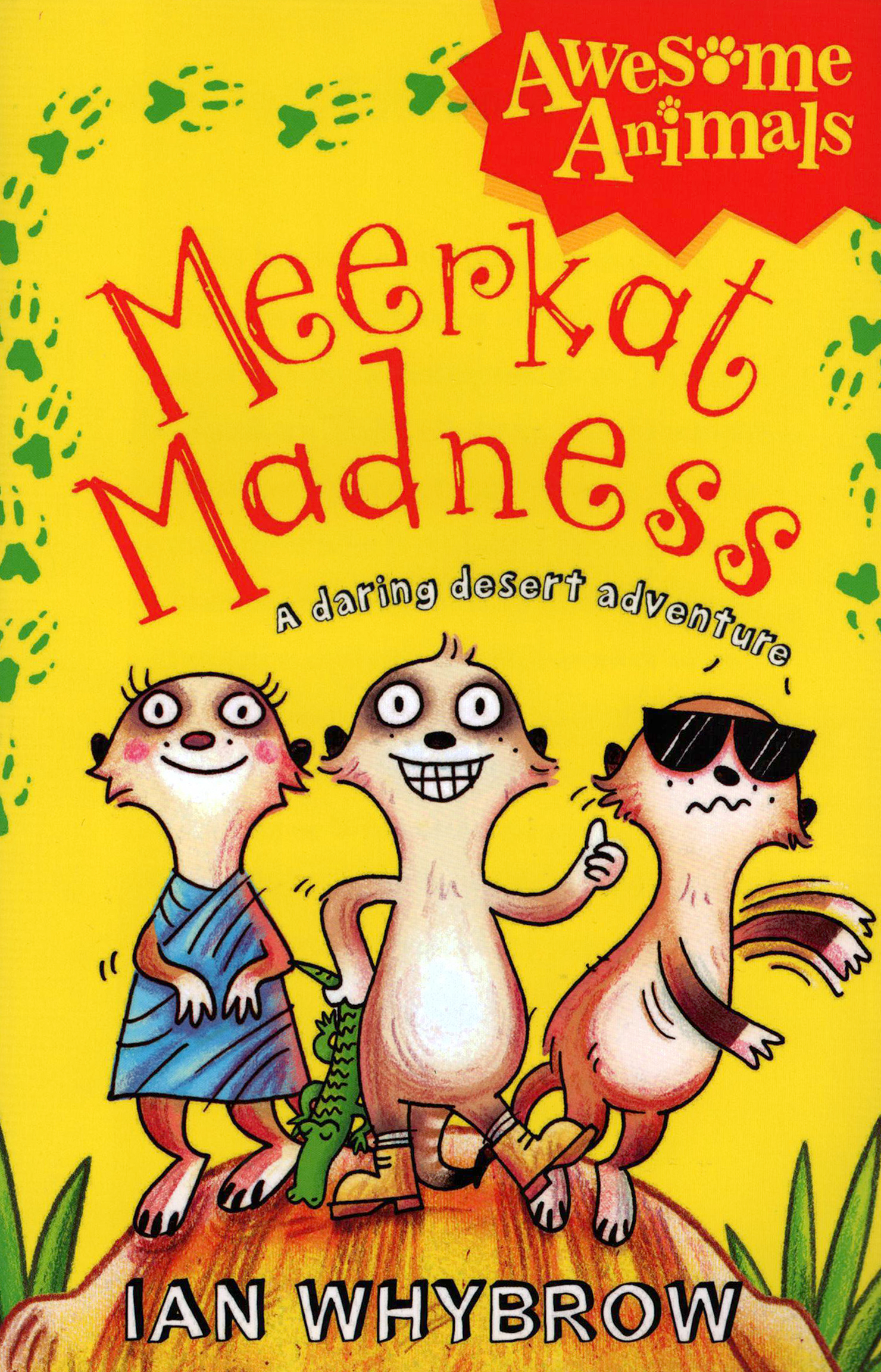 

Meerkat Madness