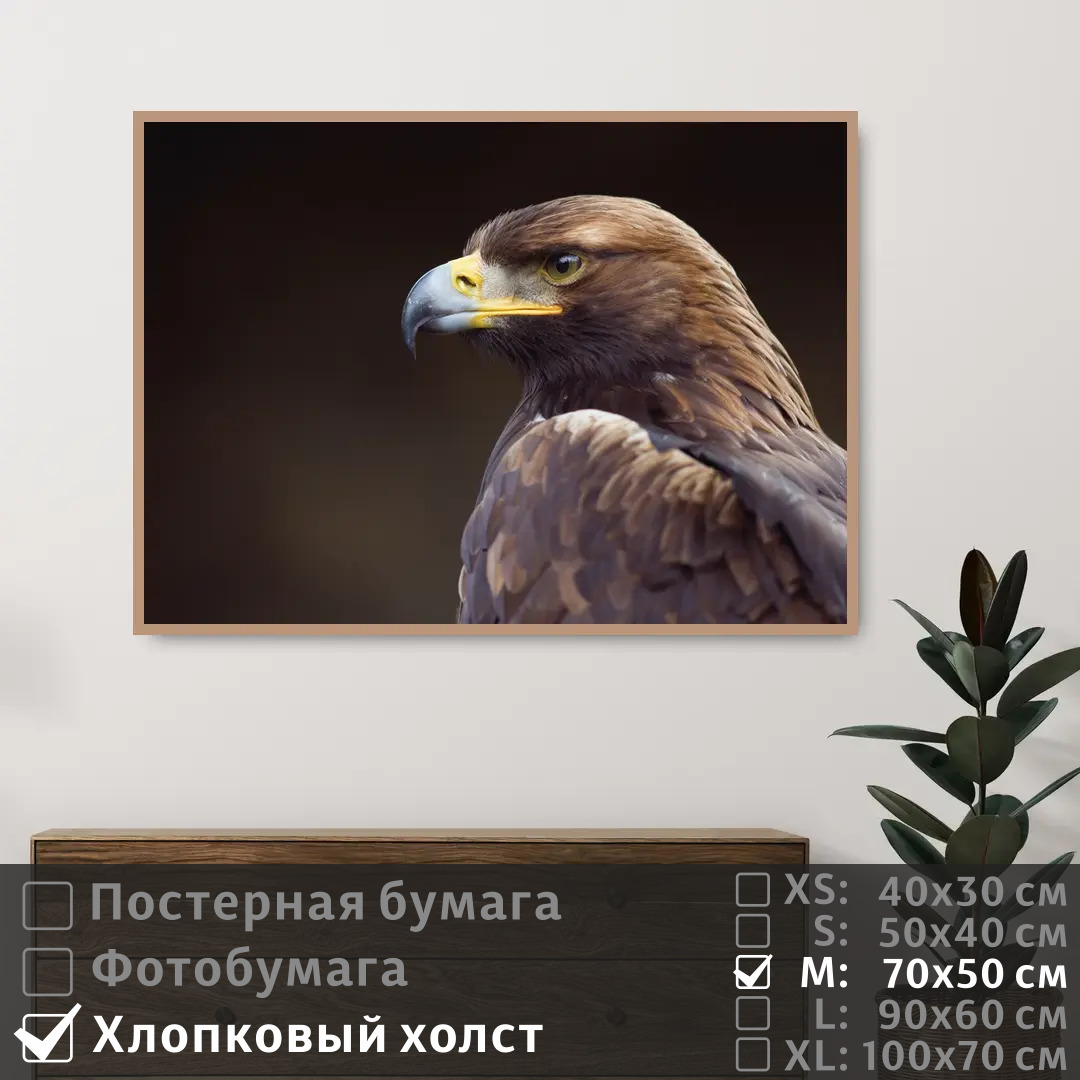 

Постер на холсте ПолиЦентр Орел смотрит вдаль 70х50 см, ОрелСмотритВдаль