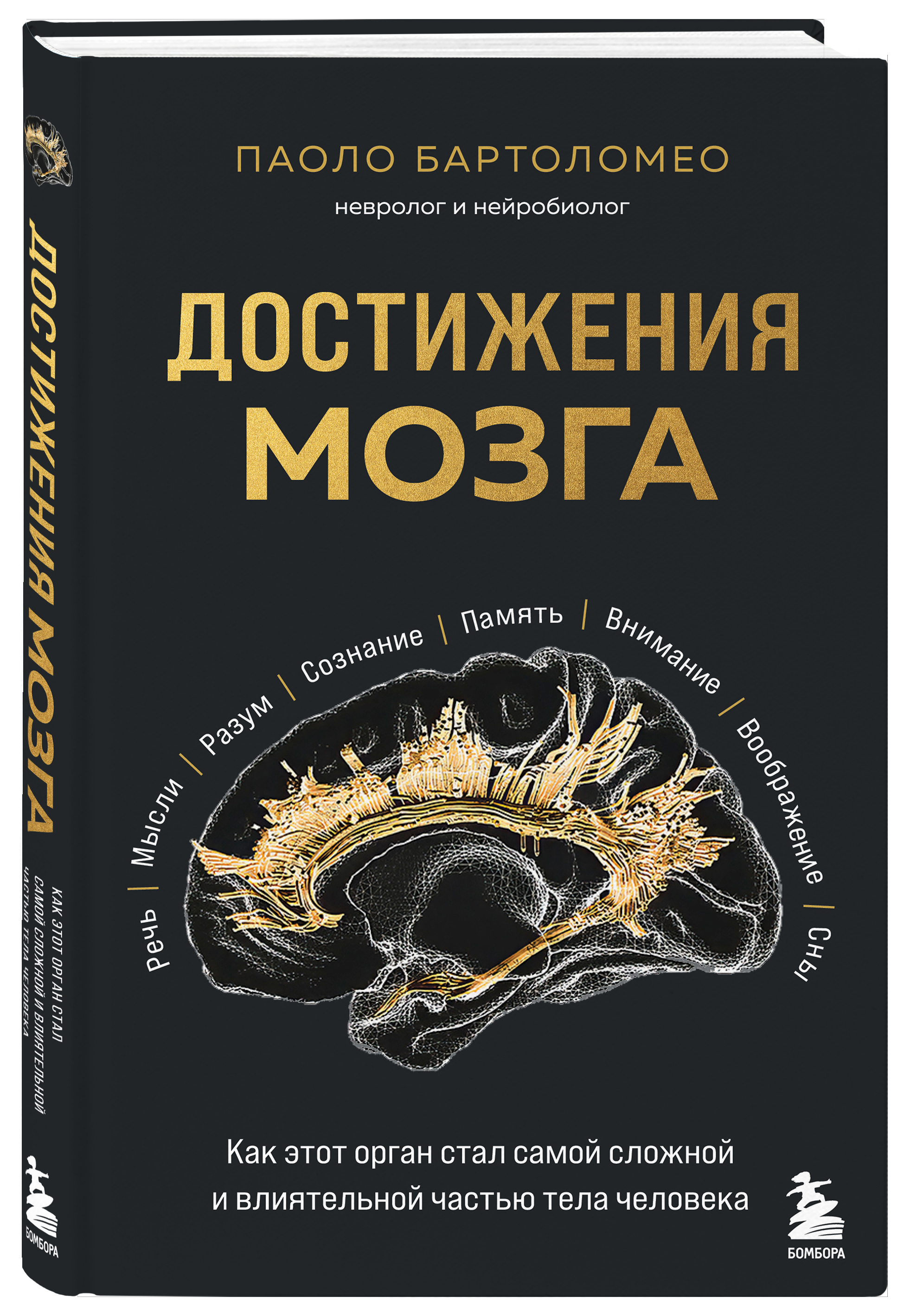 

Достижения мозга Как этот орган стал самой сложной и влиятельной частью тела человека