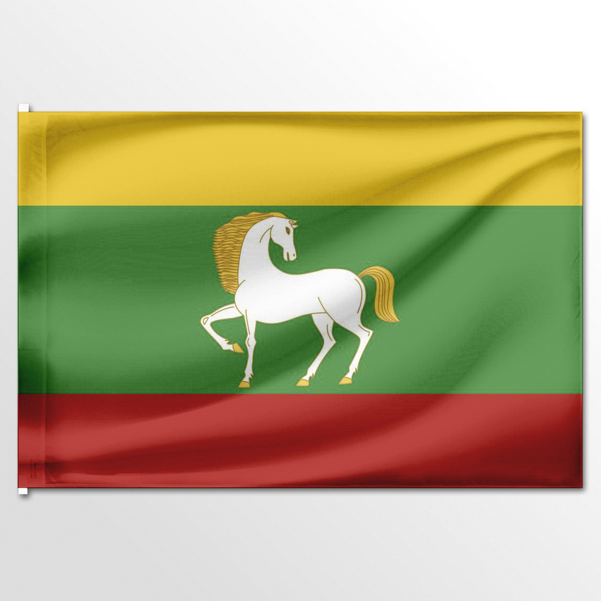 

Флаг ЦТП ФЕНИКС Баймакского района 135x90 см, 3239-135x90