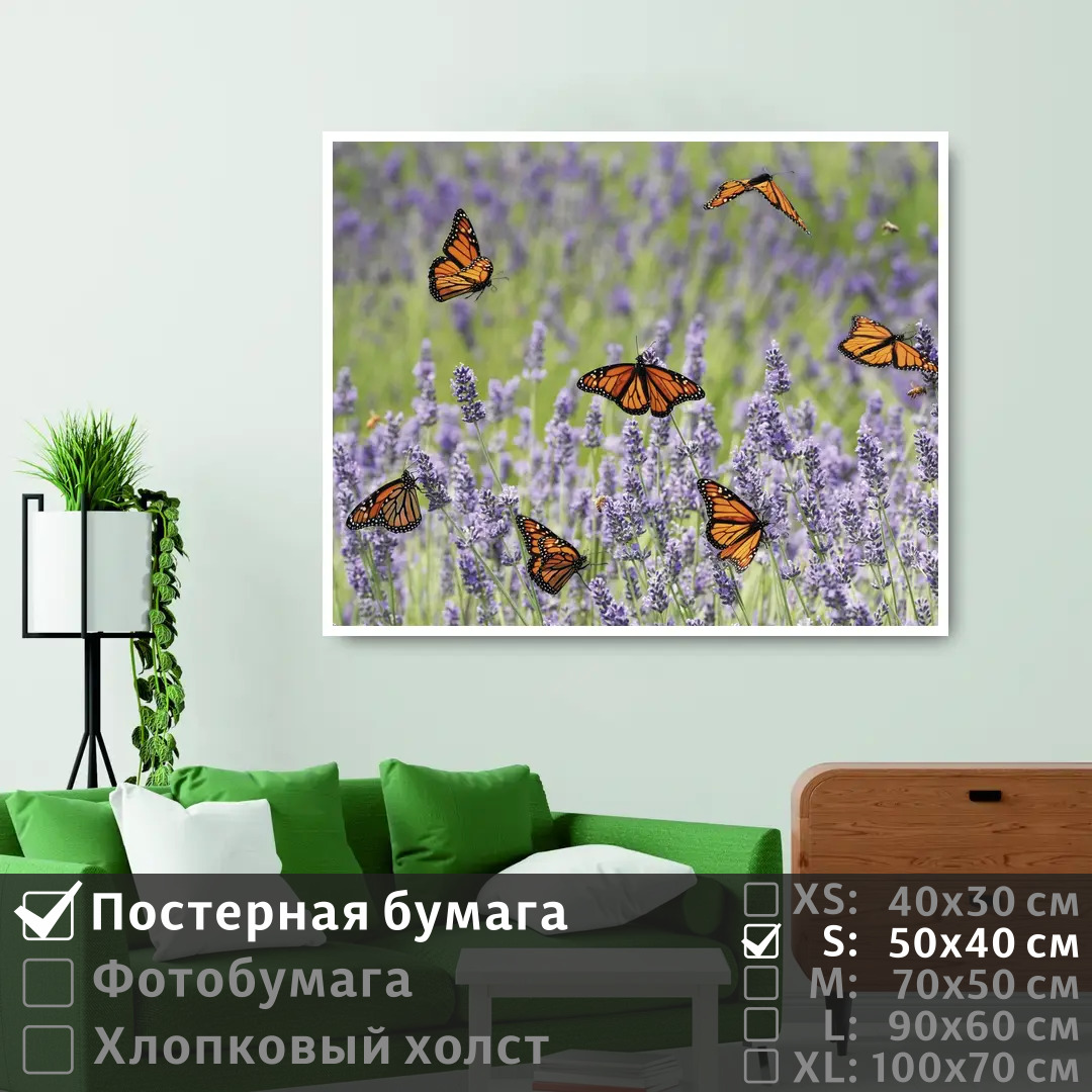 

Постер на стену ПолиЦентр Бабочки пархают над лавандами 50х40 см, БабочкиПархаютНадЛавандами