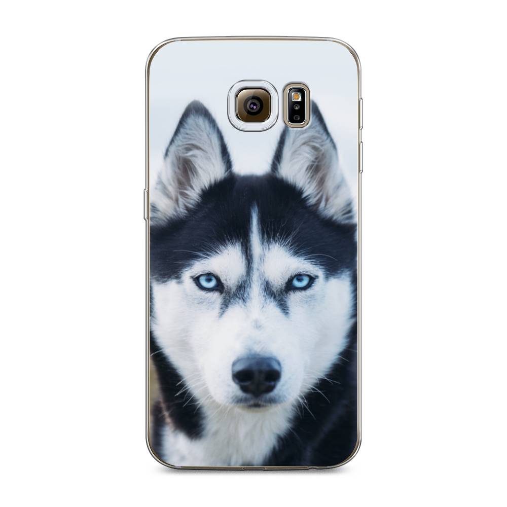 

Чехол на Samsung Galaxy S6 edge "Хаски 2", Синий;белый, 24450-1