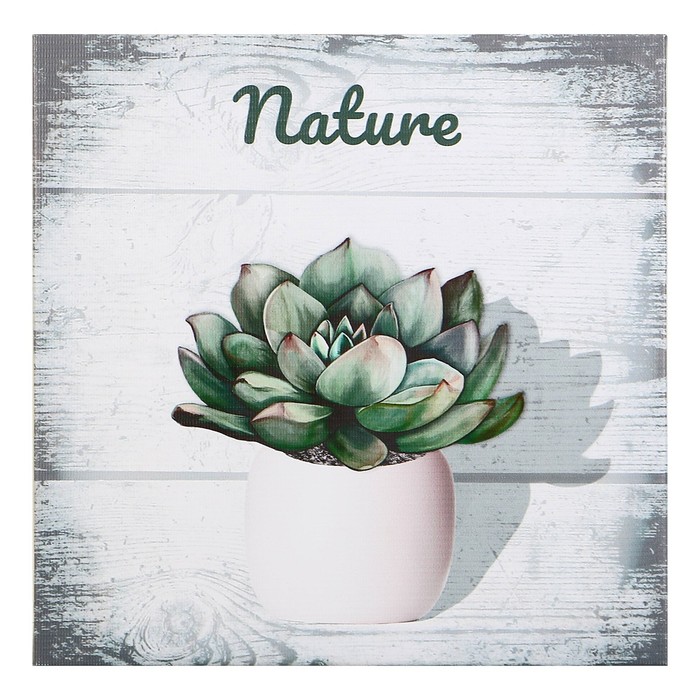 

Картина Постер-Лайн Nature 31x31 см