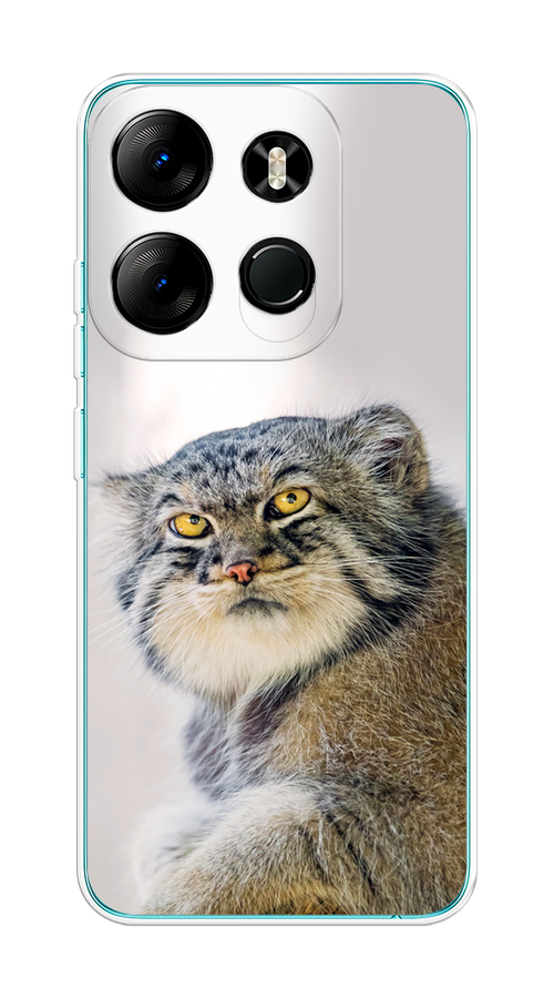 

Чехол на Tecno Spark Go 2023/Pop 7 Pro "Кот манул 1", Серый;белый;желтый, 3103750-1