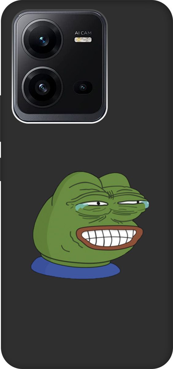 

Чехол на Vivo V25 5G/V25e с 3D принтом "Pepe the Frog" черный, Черный;зеленый, 157971