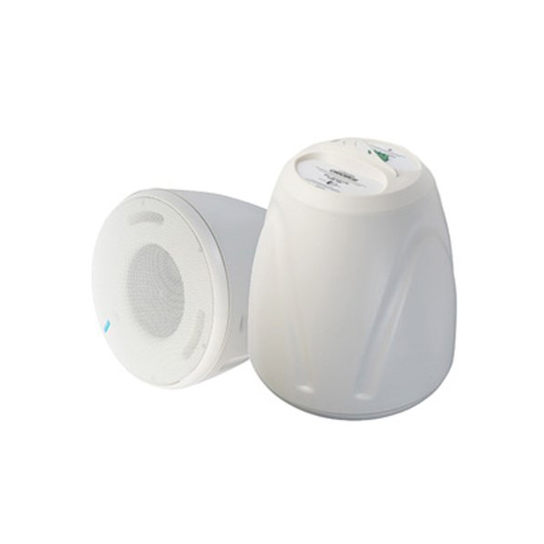 

Акустика подвесная трансляционная CVGaudio CS608TW, CS608TW