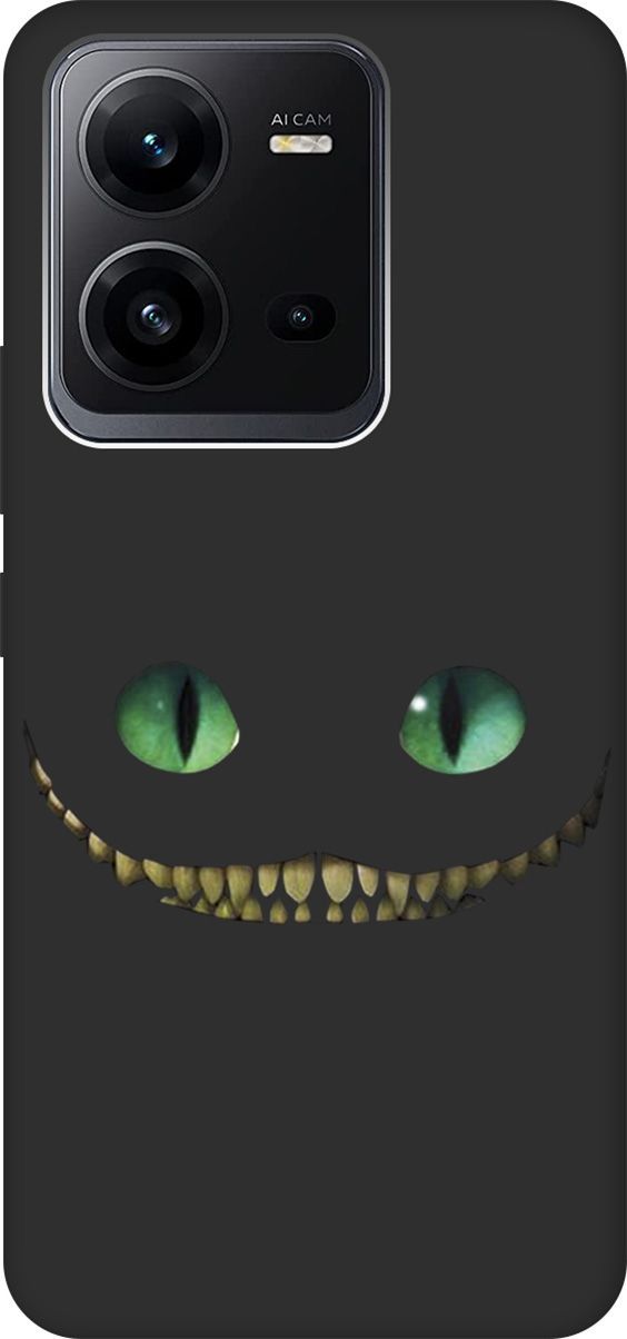 

Чехол на Vivo V25 5G/V25e с 3D принтом "Cheshire Cat" черный, Черный;зеленый, 157970