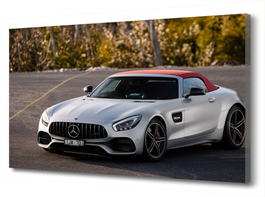 

Большая картина на холсте Машина. Mercedes-Benz AMG PRC-236 (120x80см). Натуральный холст