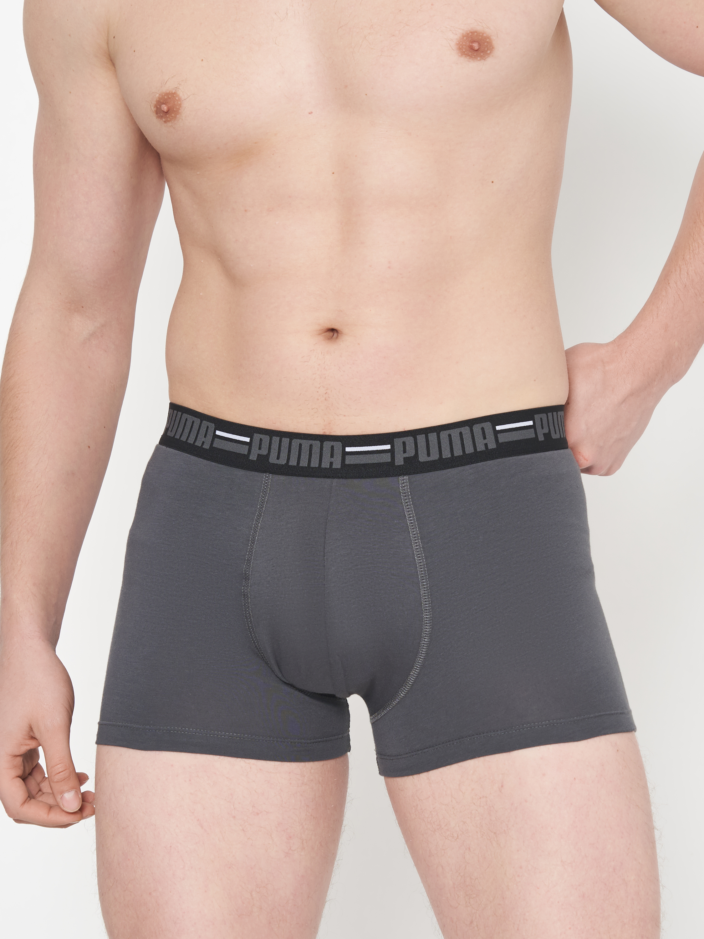 

Комплект трусов мужских PUMA PUMA BASIC BOXER BRAND ELASTIC 3P серых XL, PUMA BASIC BOXER BRAND ELASTIC 3P