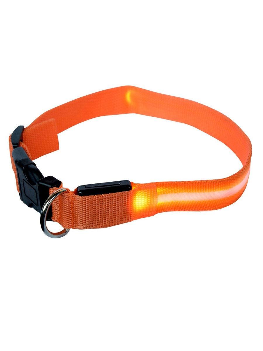 Ошейник для собак повседневный GMW LED светящийся, обхват шеи 30-55 см, нейлон, оранжевый