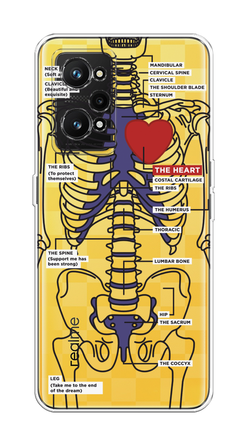 

Чехол на Realme GT Neo 3T/Neo 2 "Скелет человека", Прозрачный;синий;красный, 257750-1