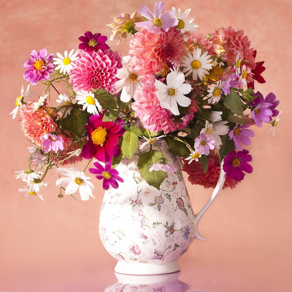 

Алмазная мозаика Рыжий кот Цветы, радующие глаз