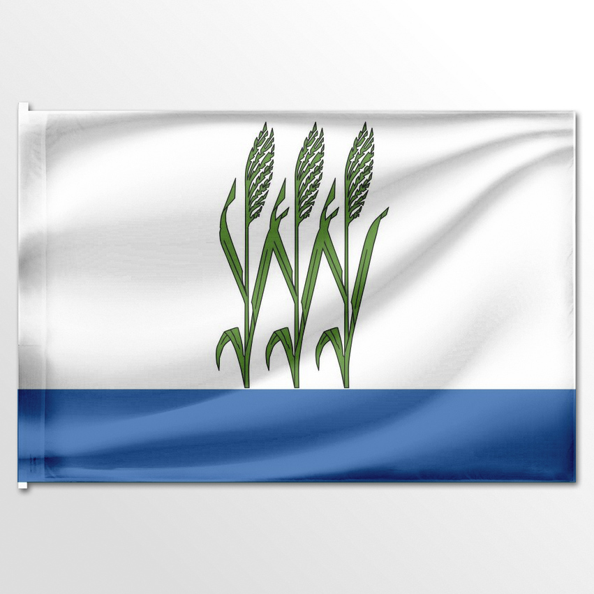 

Флаг ЦТП ФЕНИКС Камышина 135x90 см, 1192-135x90