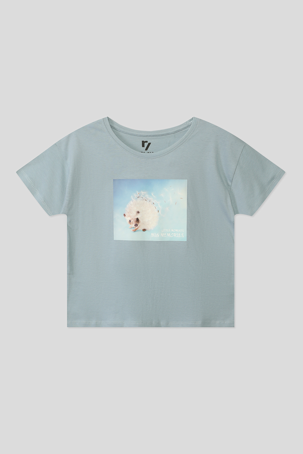 

Футболка Reporter Young 231-0440G-60-420-1- для девочек, цвет голубой р.152, 231-0440G-60-420-1-