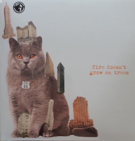 

THE BRIAN JONESTOWN MASSACRE - Fire Doesn'T Grow On Trees