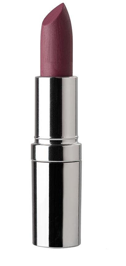 Устойчивая матовая губная помада Seventeen SPF 15 Matte Lasting Lipstick 62