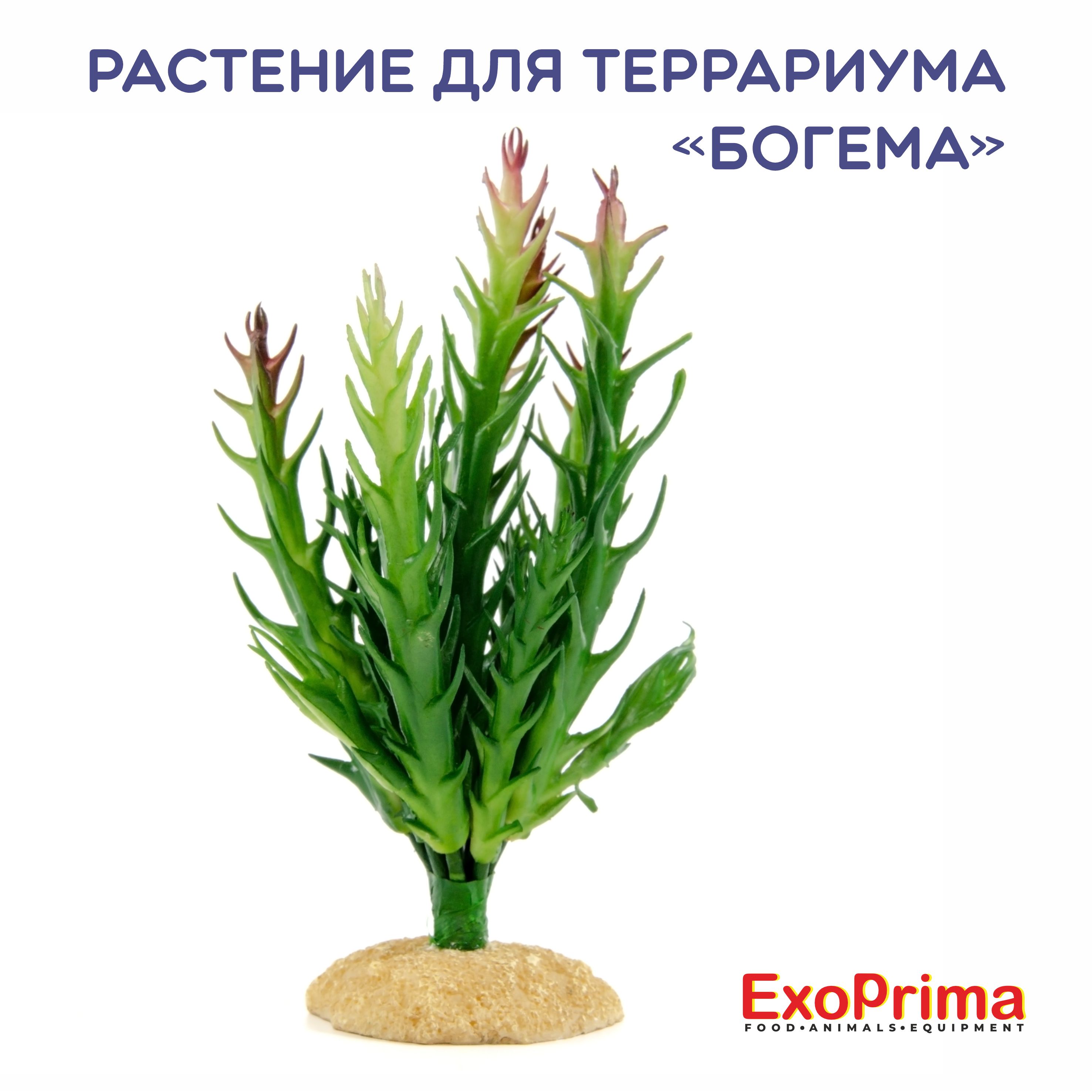 Растение для террариума EXOPRIMA Богема, 8,5х6,5х16см