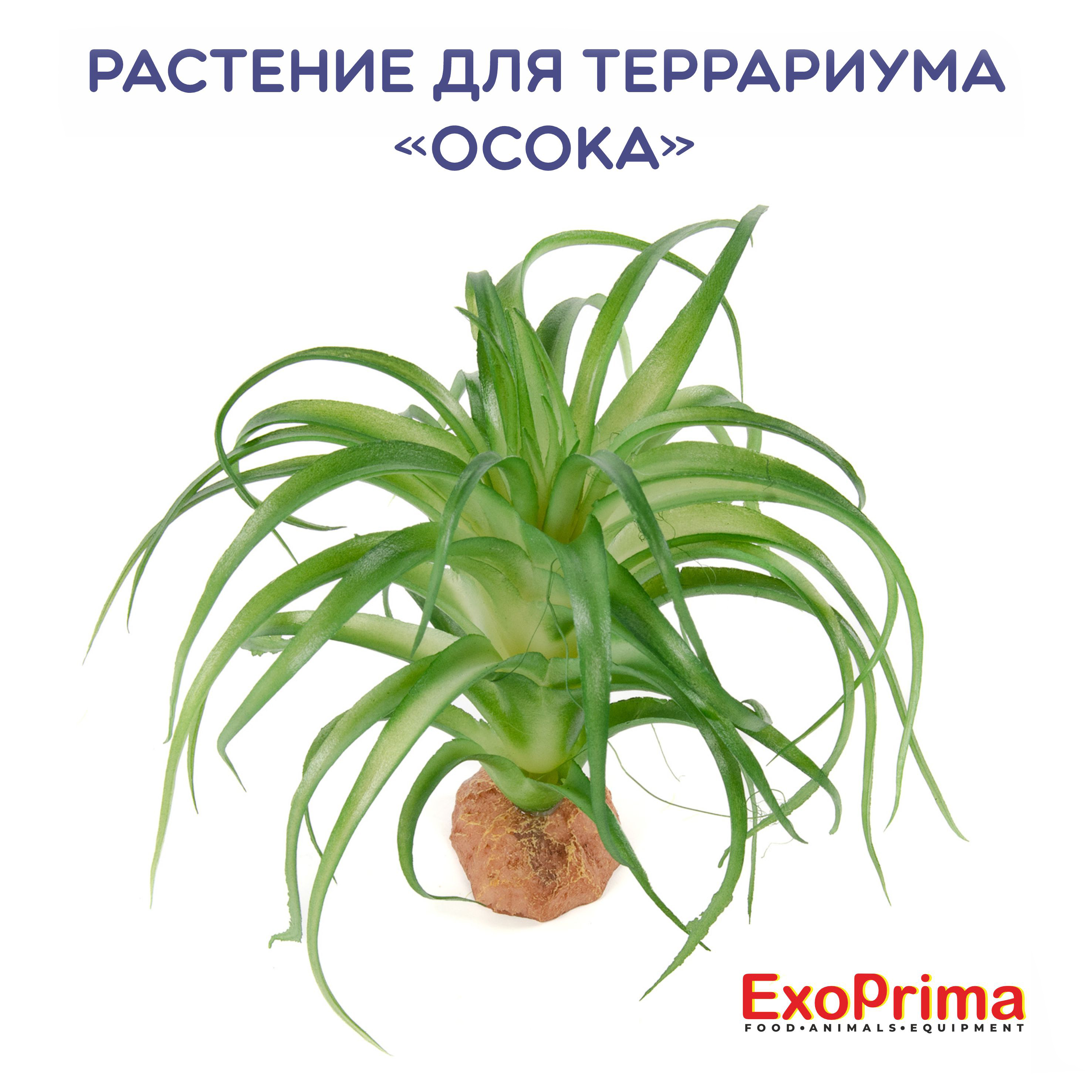 Растение для террариума EXOPRIMA Осока, 16,5х16,5х9,5см