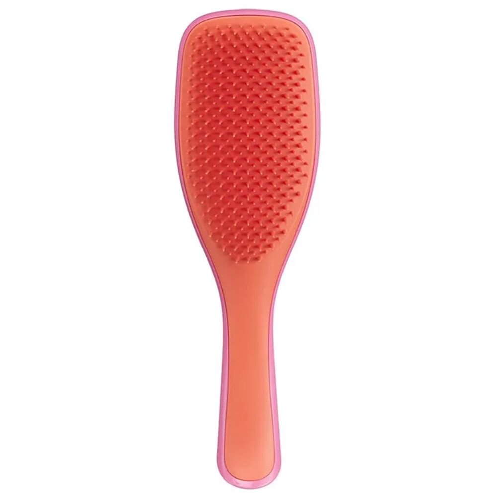 фото Расческа tangle teezer the wet detangler lollipop