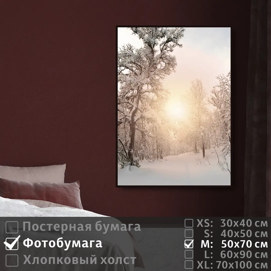 

Постер на фотобумаге ПолиЦентр Лес зимний пейзаж 50х70 см, ЛесЗимнийПейзаж
