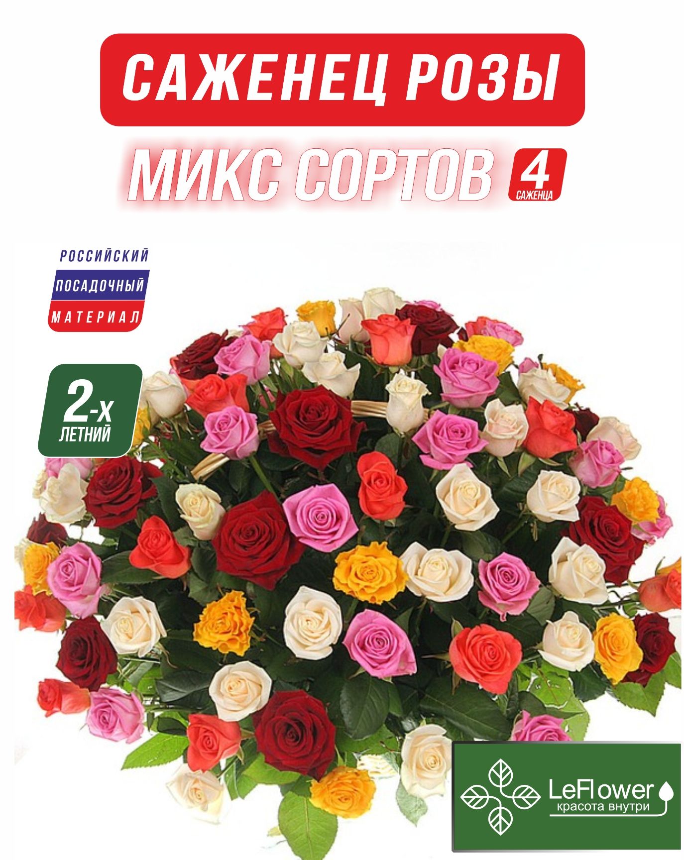 Саженцы декоративных кустарников роза LeFlower роза-с-микс4_700841960 4 шт