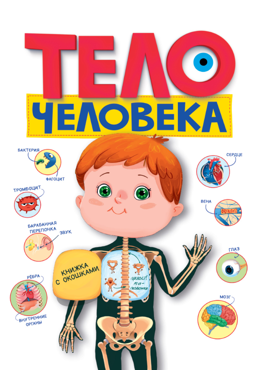 

С окошками 220х290. Тело человека, Энциклопедия Тело человека