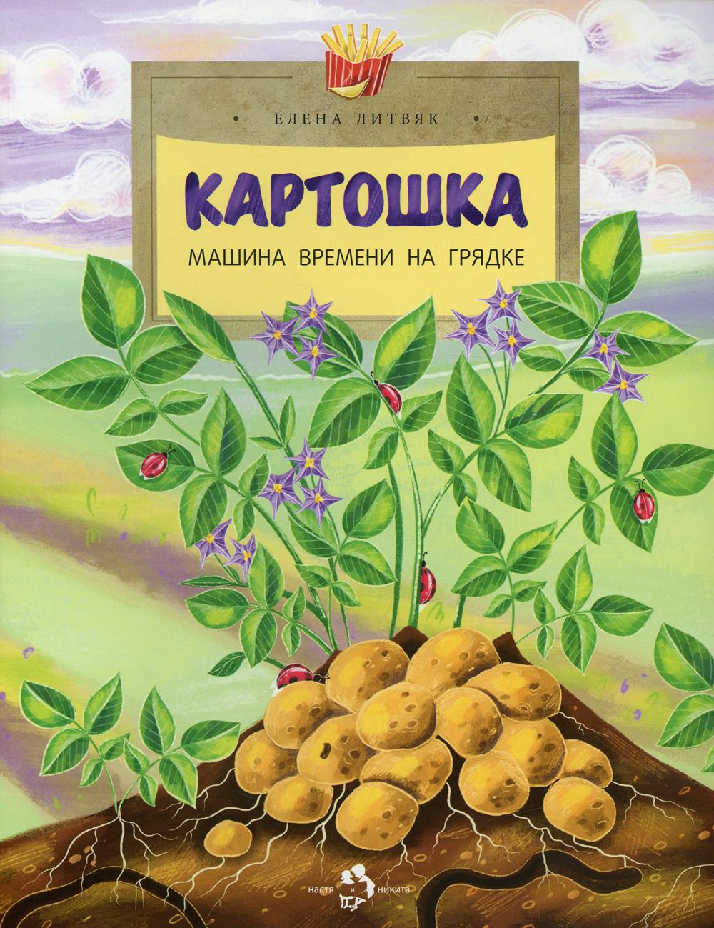 Книга картошка. Картошка машина времени на грядке. Книга про картошку. Картошка обложка. Книги о картофеле для детей.