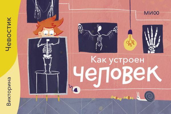 

Как устроен человек. Викторина