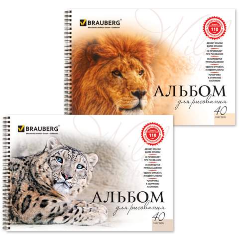 

Альбом для рисования Brauberg 102831, A4, 40 листов, 100 г/м2, 20 штук