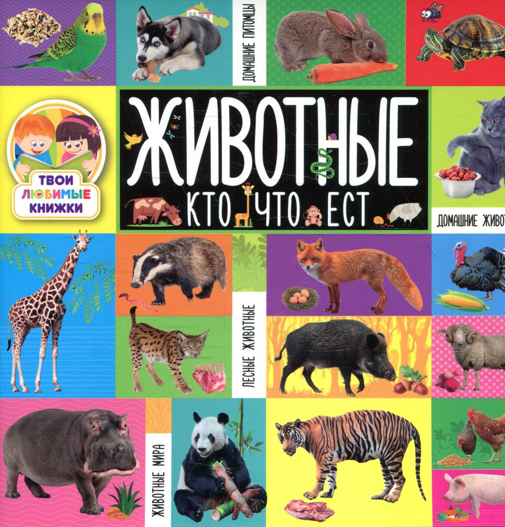 

Животные. Кто что ест