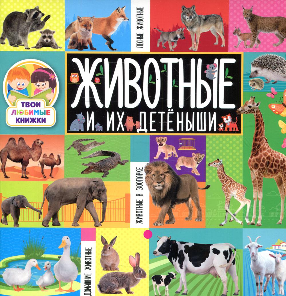 

Книга Животные и их детеныши