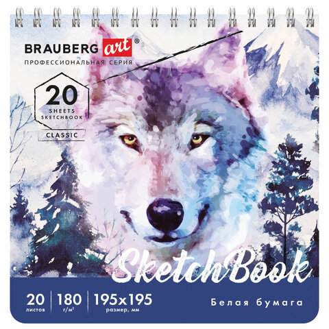 

Скетчбук, белая бумага Brauberg 112994, 20 листов, 180 г/м2, 6 штук